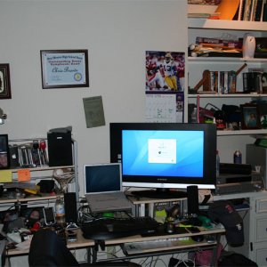 large1.jpg