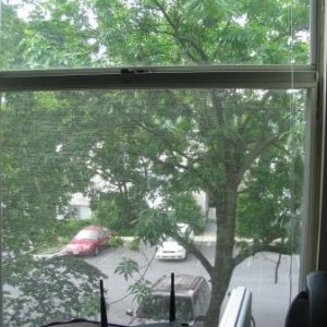 IMG_1591.JPG