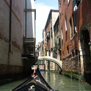 IMG_1429.JPG