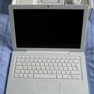 IMG_1343.JPG