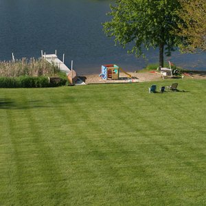 lawn.jpg