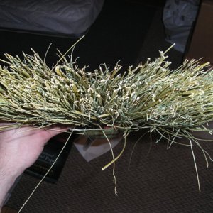 broom.jpg