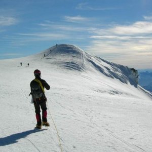 Picture 1.jpg