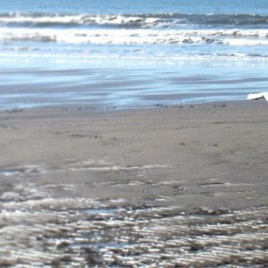 DSC01370v.2.jpg