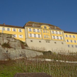 Meersburg.jpg