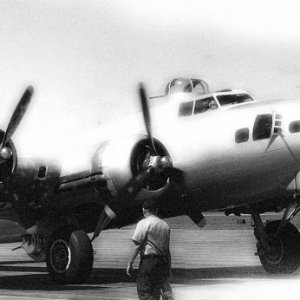 b17.jpg