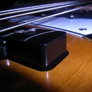 RIMG0335.JPG