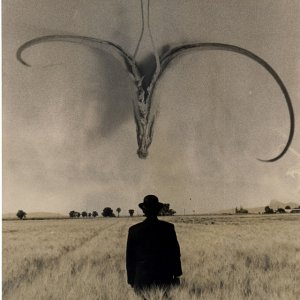 surreal2.jpg