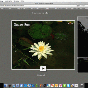 Picture 1.gif