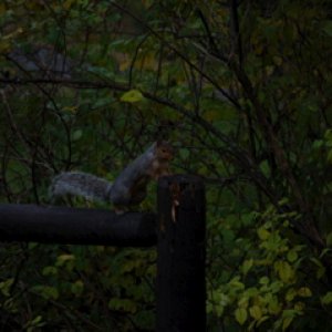 DSC_0009.jpg