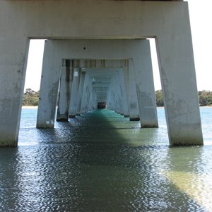 bridge.jpg