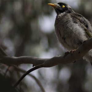 DSC_0798.jpg
