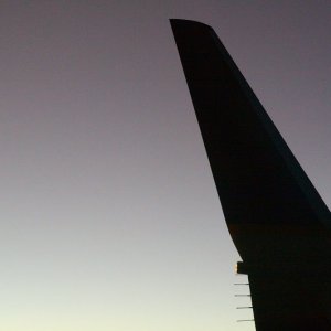 110455834-L.jpg