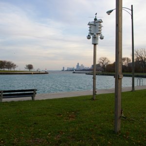 IMGP0135.jpg