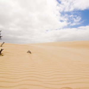 Dune 2.jpg