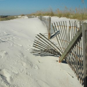 dune fence small.jpg