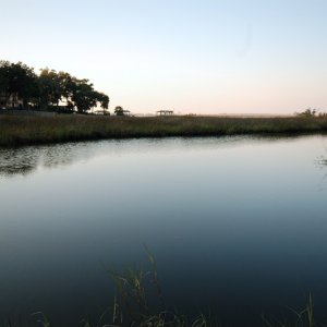 Barbara's-Cove.jpg