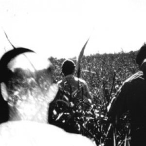 scarecrow.jpg