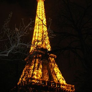 IMG_0114.jpg