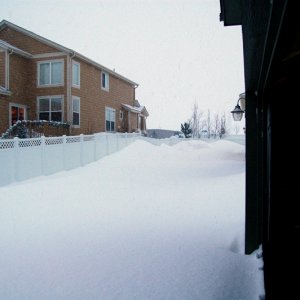 Blizzard 06-1.jpg