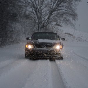 IMG_5964.jpg