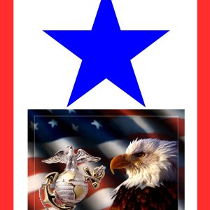1bluestar-usmc.jpg