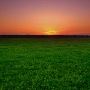 Sunset.jpg