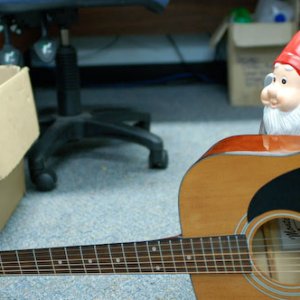 Rowdy's Big Day Out 01.jpg