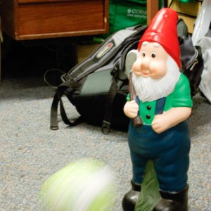 Rowdy's Big Day Out 03.jpg