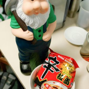Rowdy's Big Day Out 06.jpg