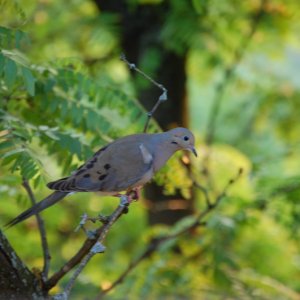 DSC_0044.jpg