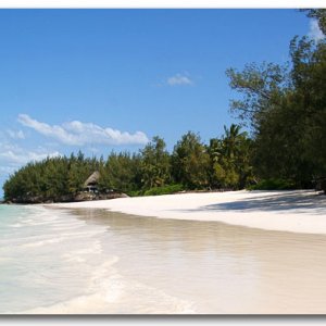 jp-znz-beach.jpg