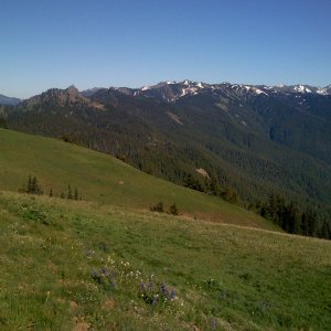 IMG_0321.JPG