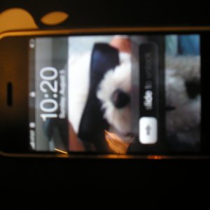 iPhoneGlitch.jpg