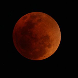 eclipse_cropped.jpg