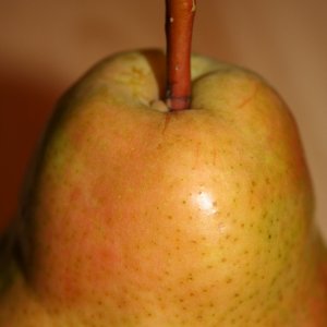 pear2.jpg