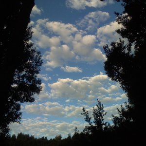 IMG_0596.JPG
