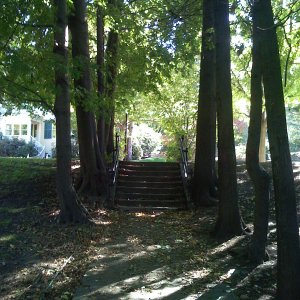 IMG_0034.JPG
