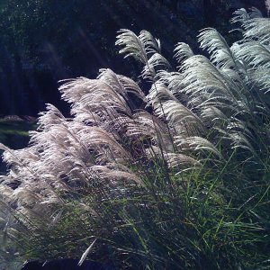 IMG_0012.JPG