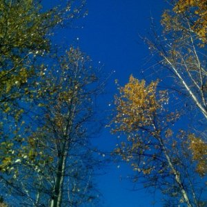 IMG_0016.jpg
