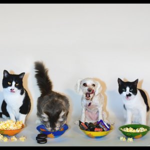 Snacktime.jpg