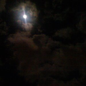 xmas full moon.JPG