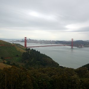DSC_9536_web.jpg