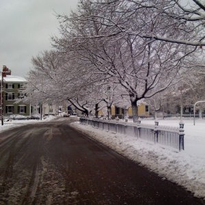 iPhone pics 002.jpg