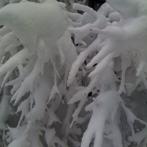 iPhone pics 003.jpg