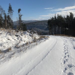 IMG_3667.jpg