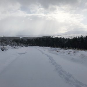 IMG_3672.jpg