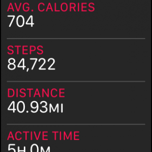 steps.PNG