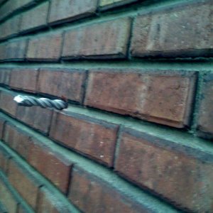 photo.jpg