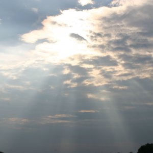 IMG_6727.jpg